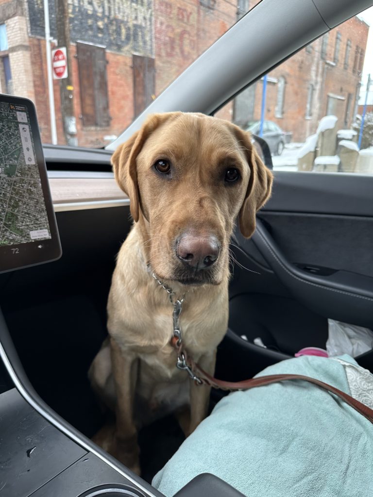 Linen in the car