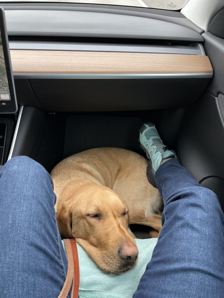 sleeping in car