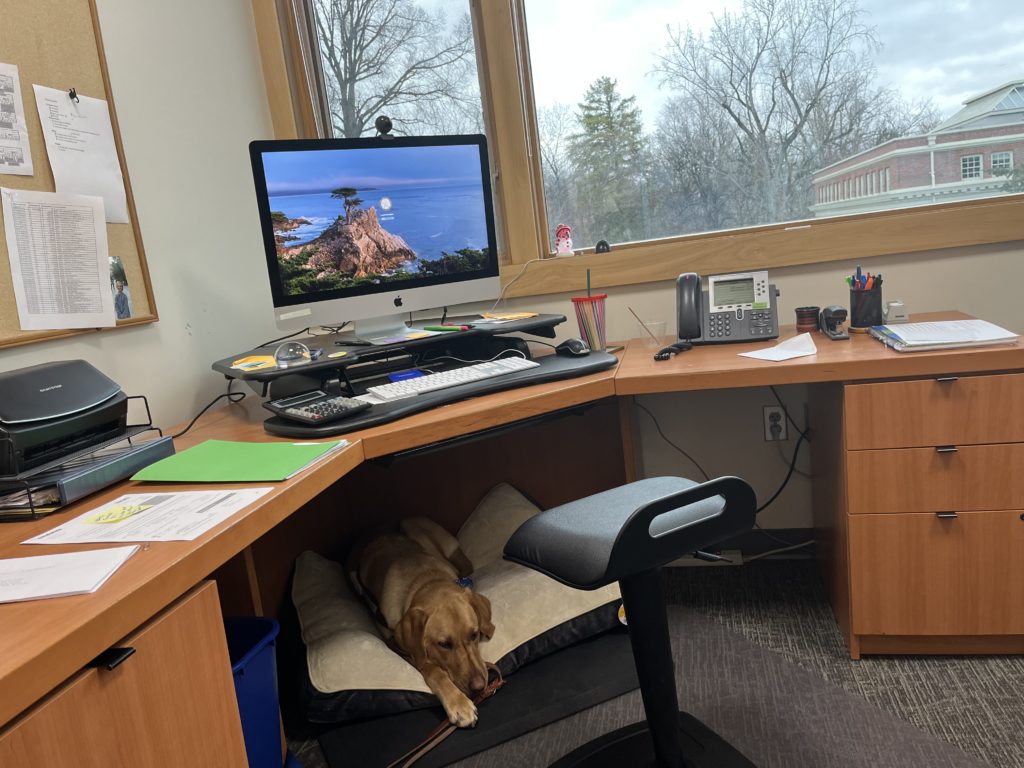 Linen under desk